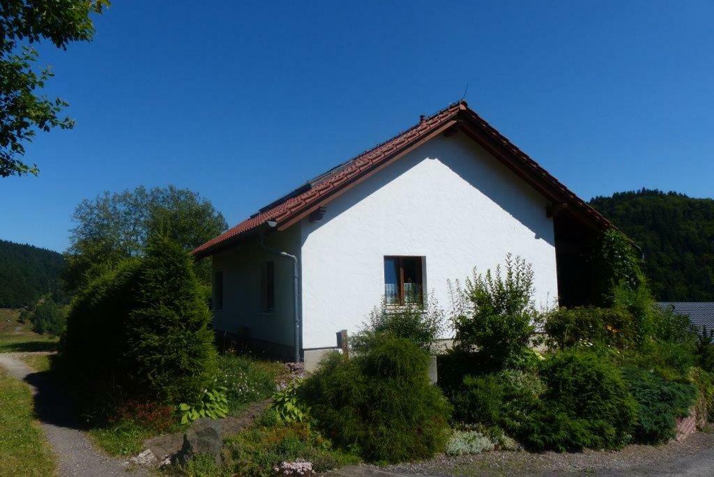 Ferienhaus Am Loeffelberghuettchen Gießübel Esterno foto
